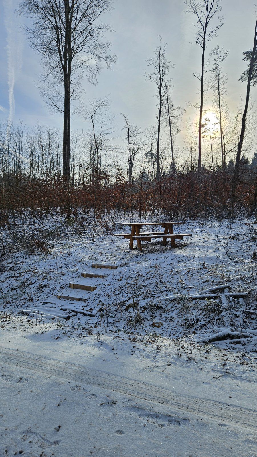20240121_103355.jpg