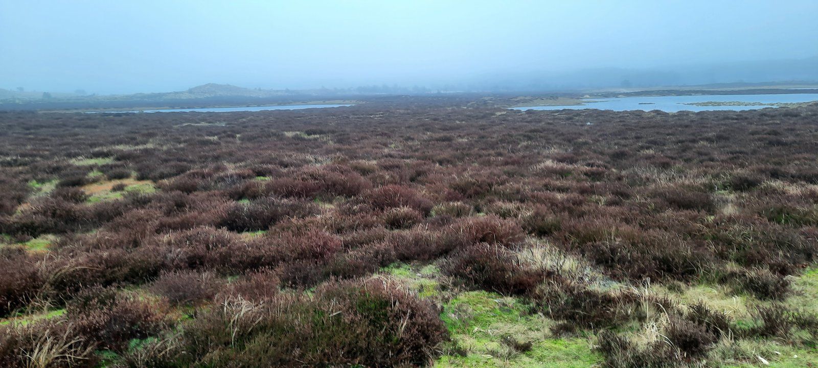 20240215_111455.jpg