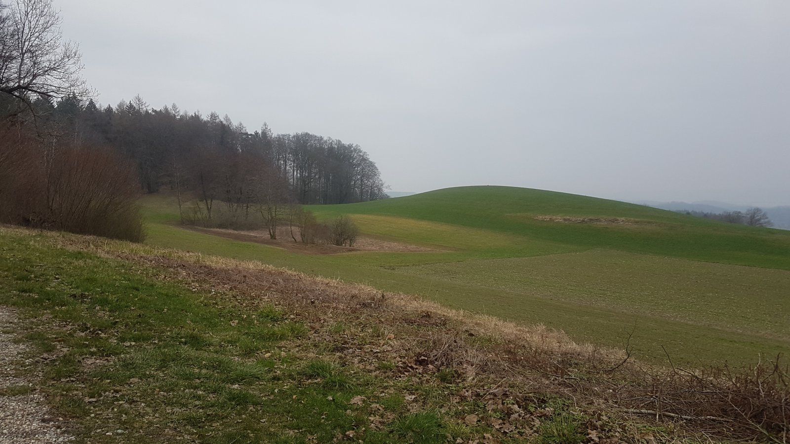 20240307_164041.jpg