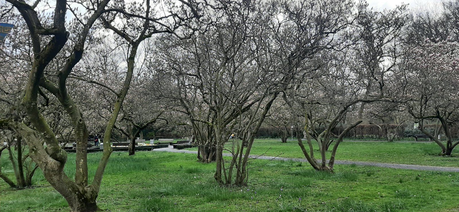 20240311_115257.jpg