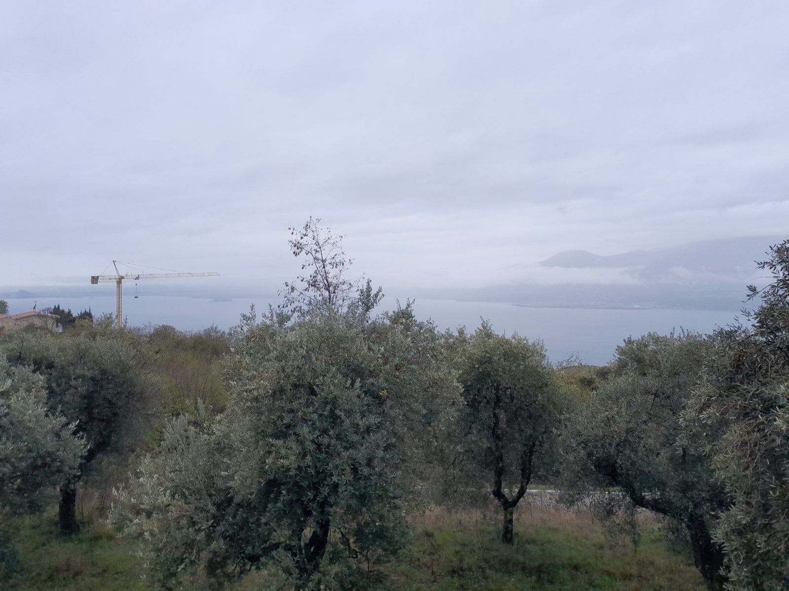 20240328_131523.jpg