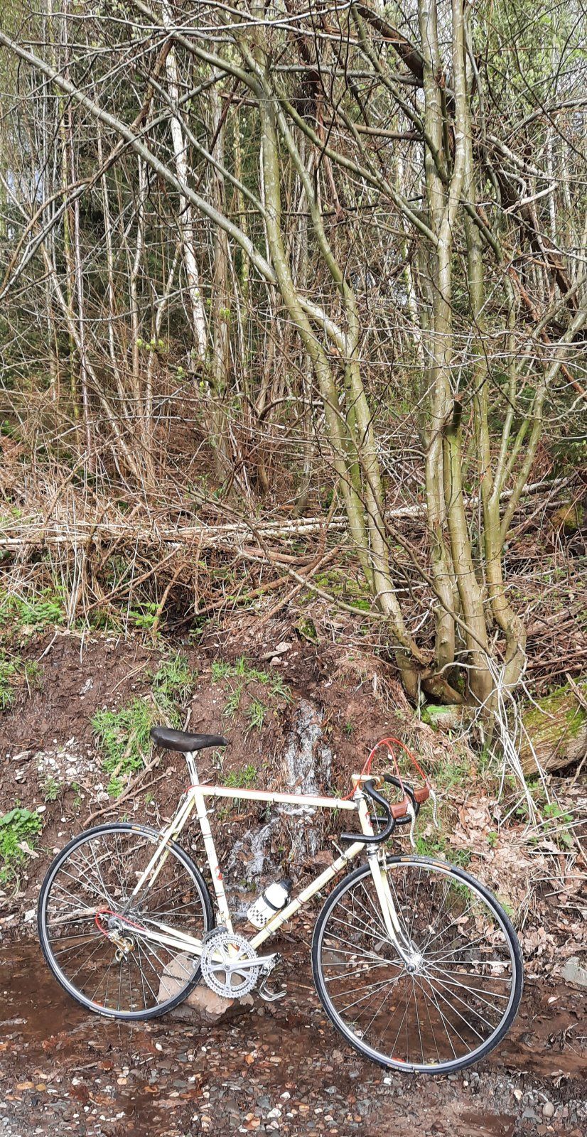 20240407_093750.jpg