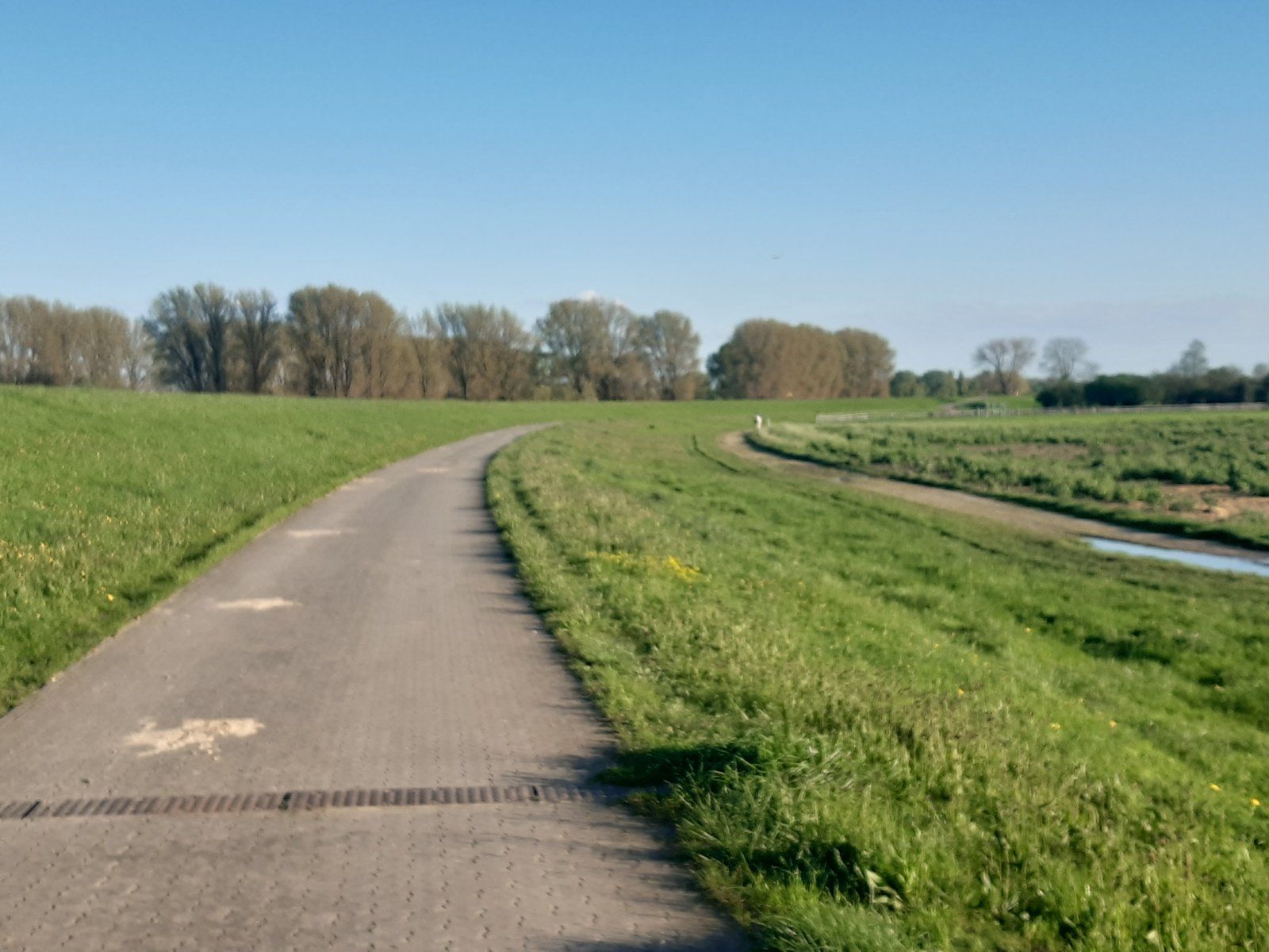 20240410_190229.jpg