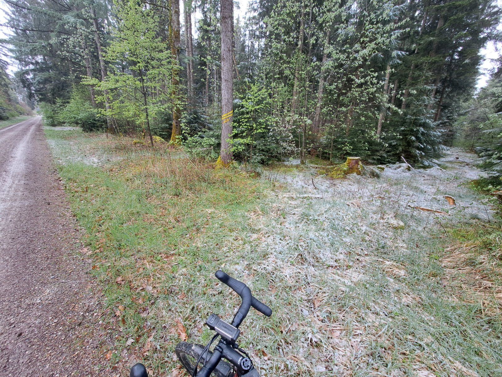 20240417_083126.jpg