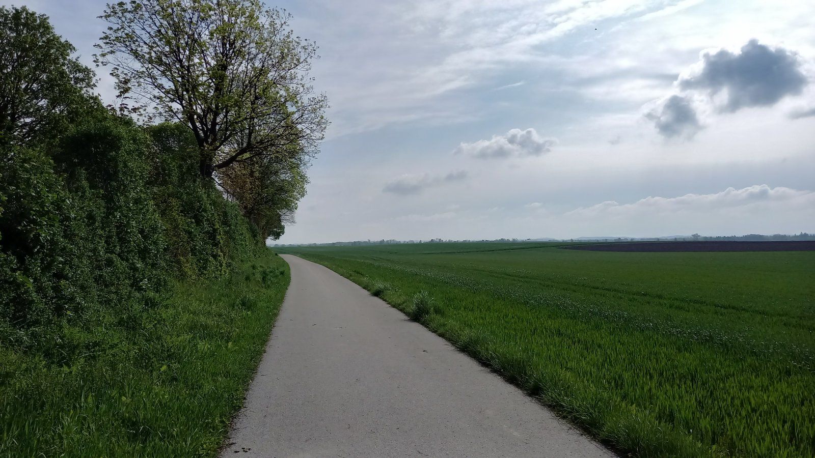 20240424_095521.jpg