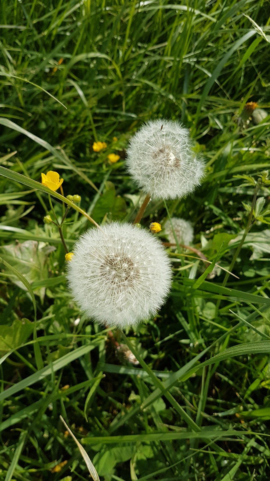 20240501_101108.jpg