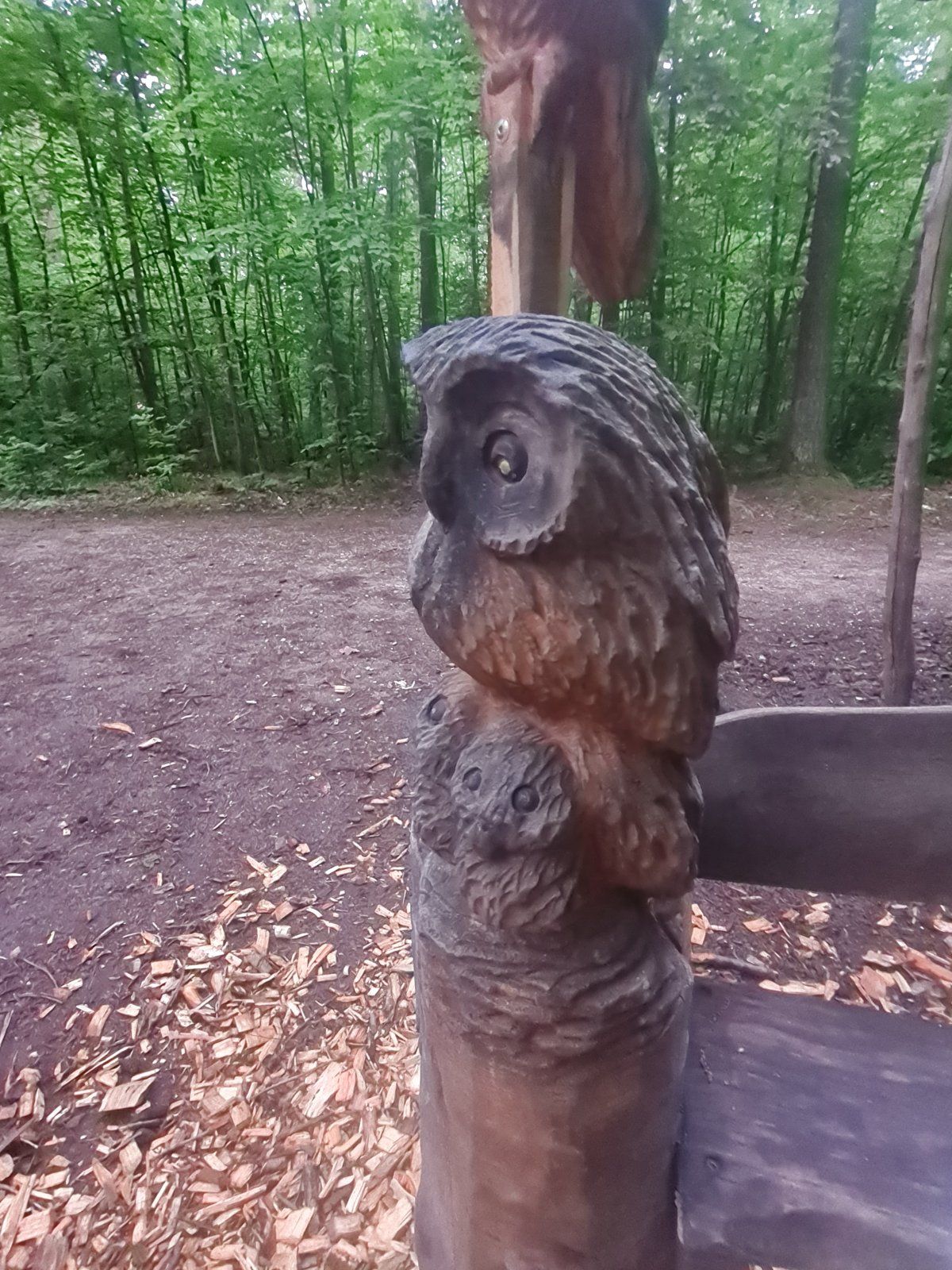 20240507_201049.jpg