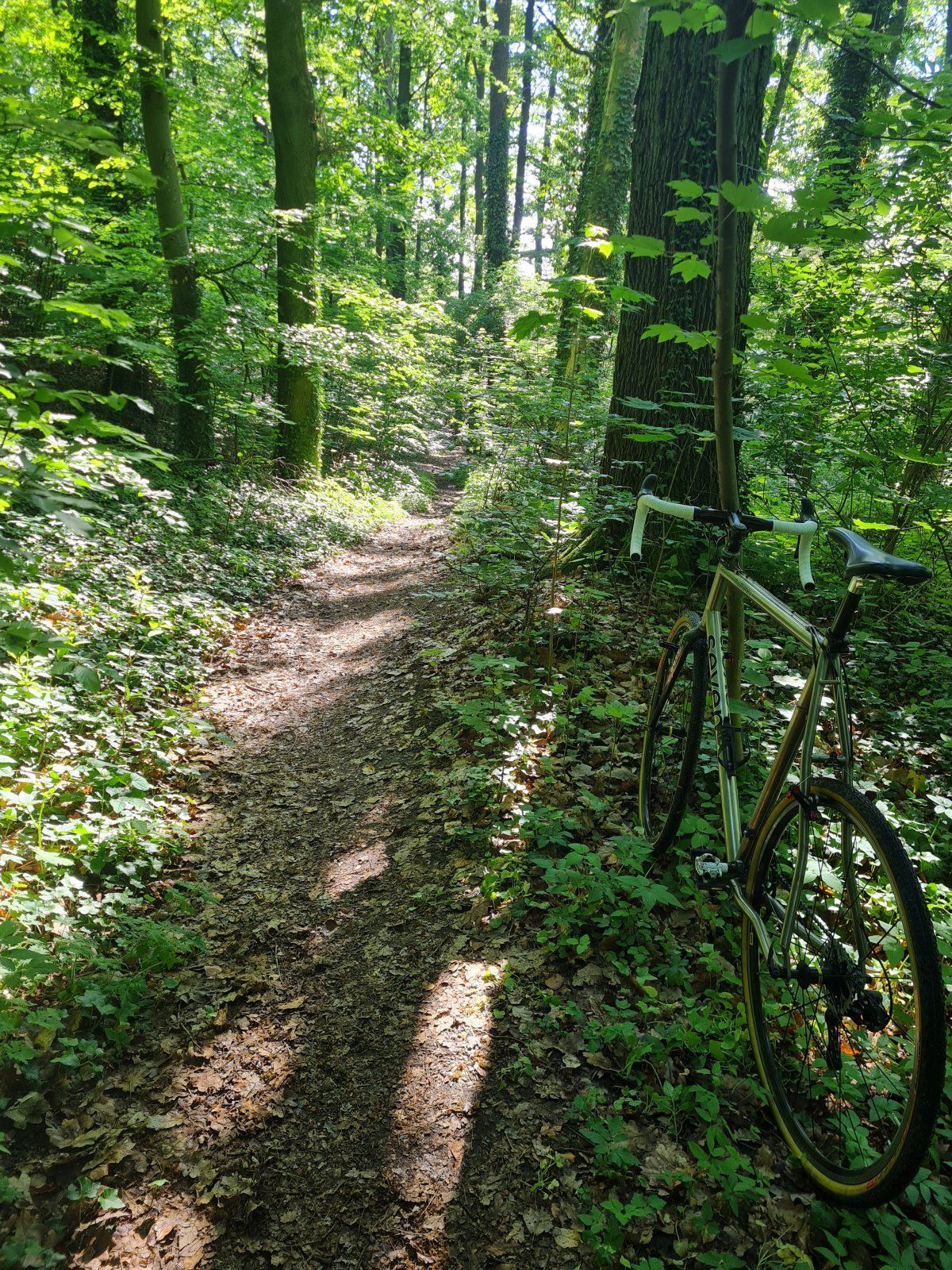 20240509_092922.jpg