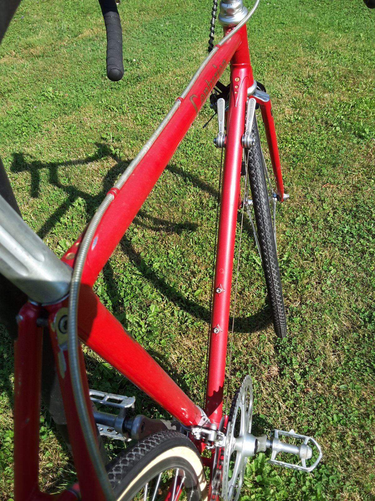 20240812_160514.jpg