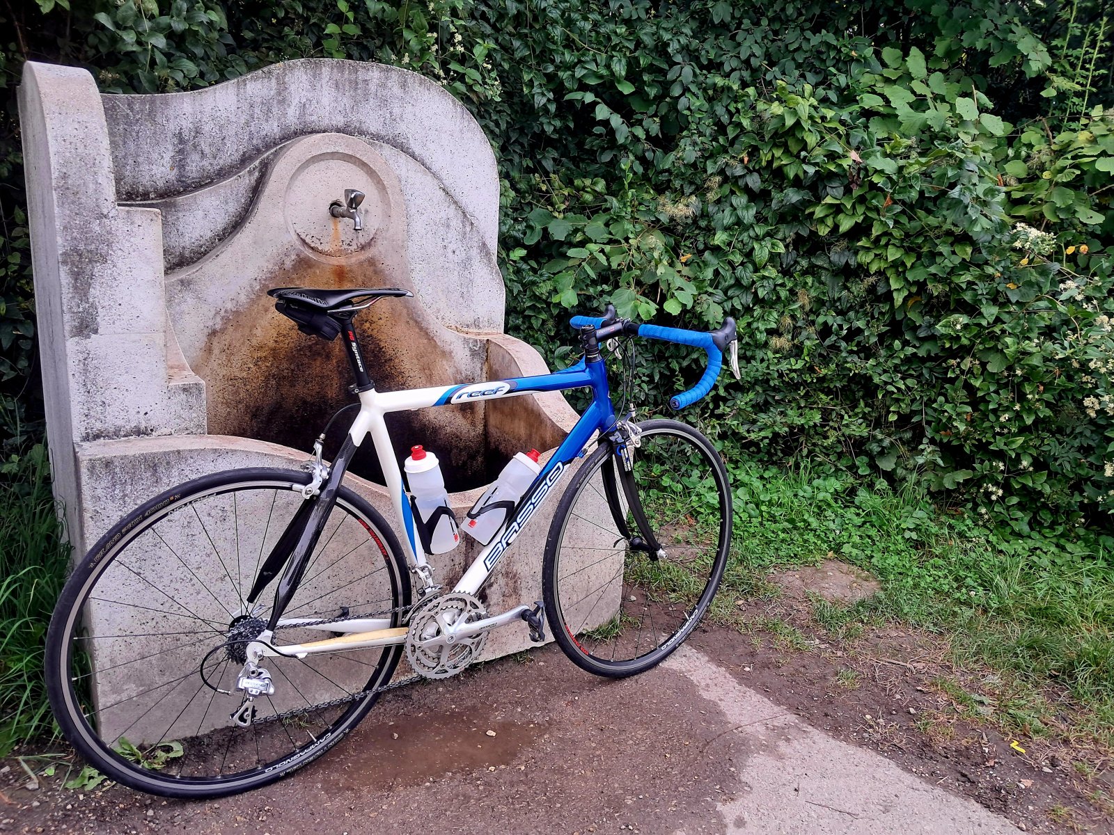 20240813_174137.jpg 20240813_174137.jpg