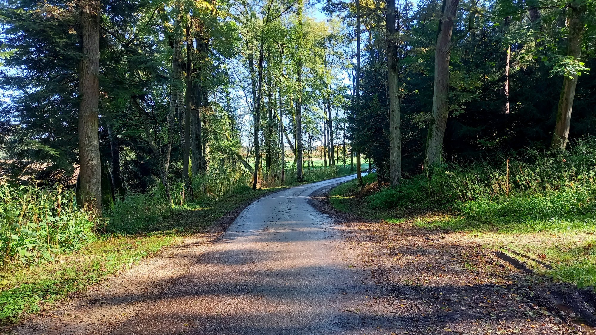 20241009_121019.jpg