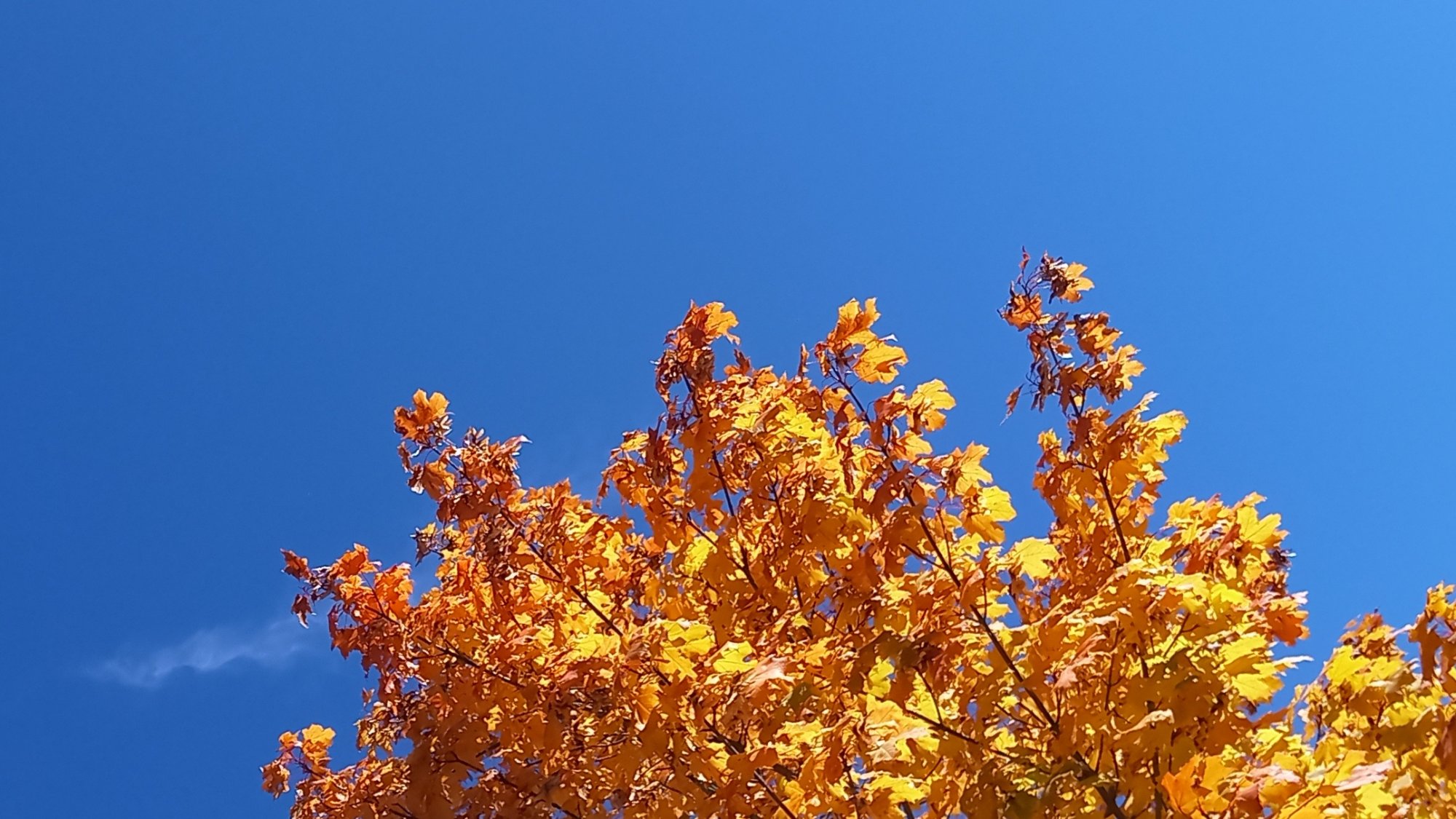 20241009_124800.jpg