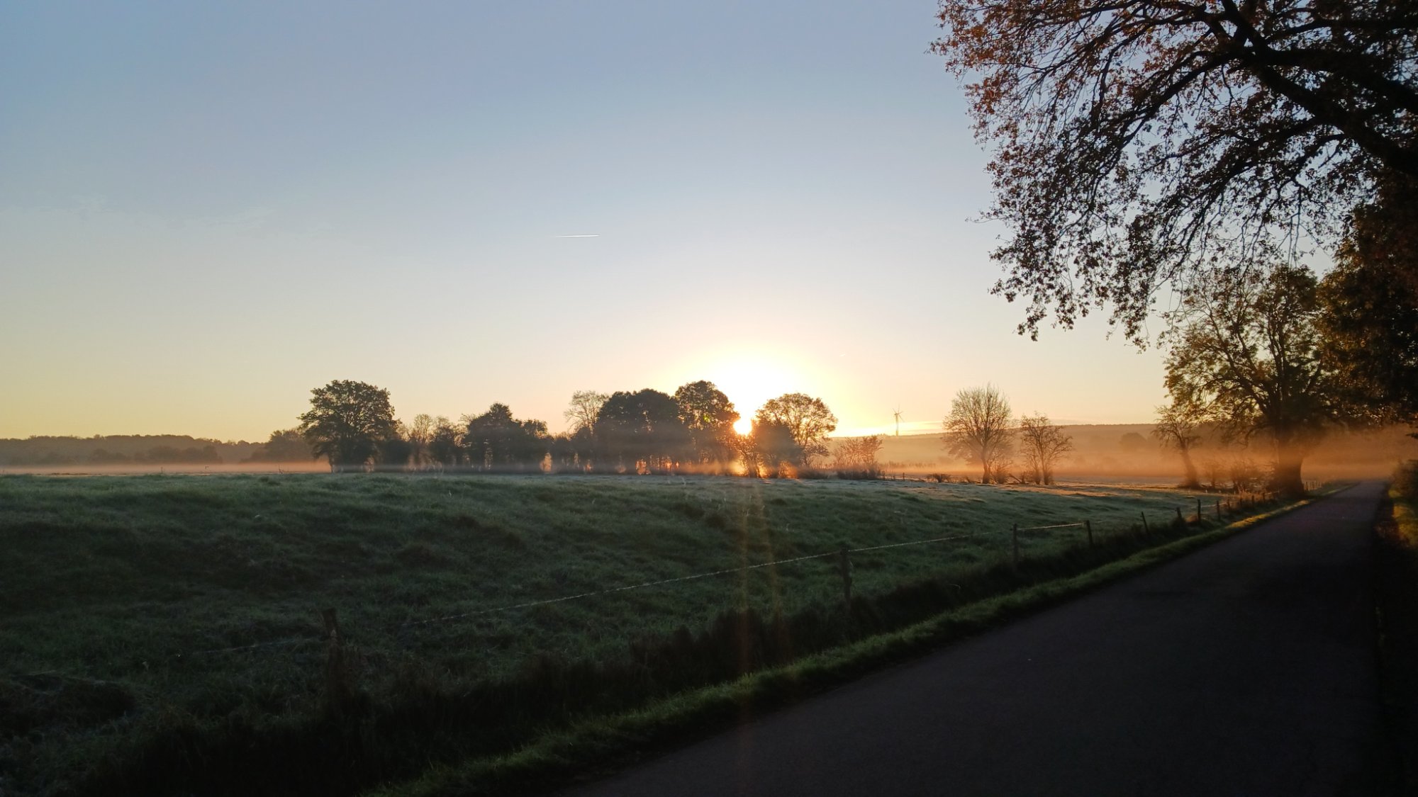 20241024_083058.jpg 20241024_083058.jpg