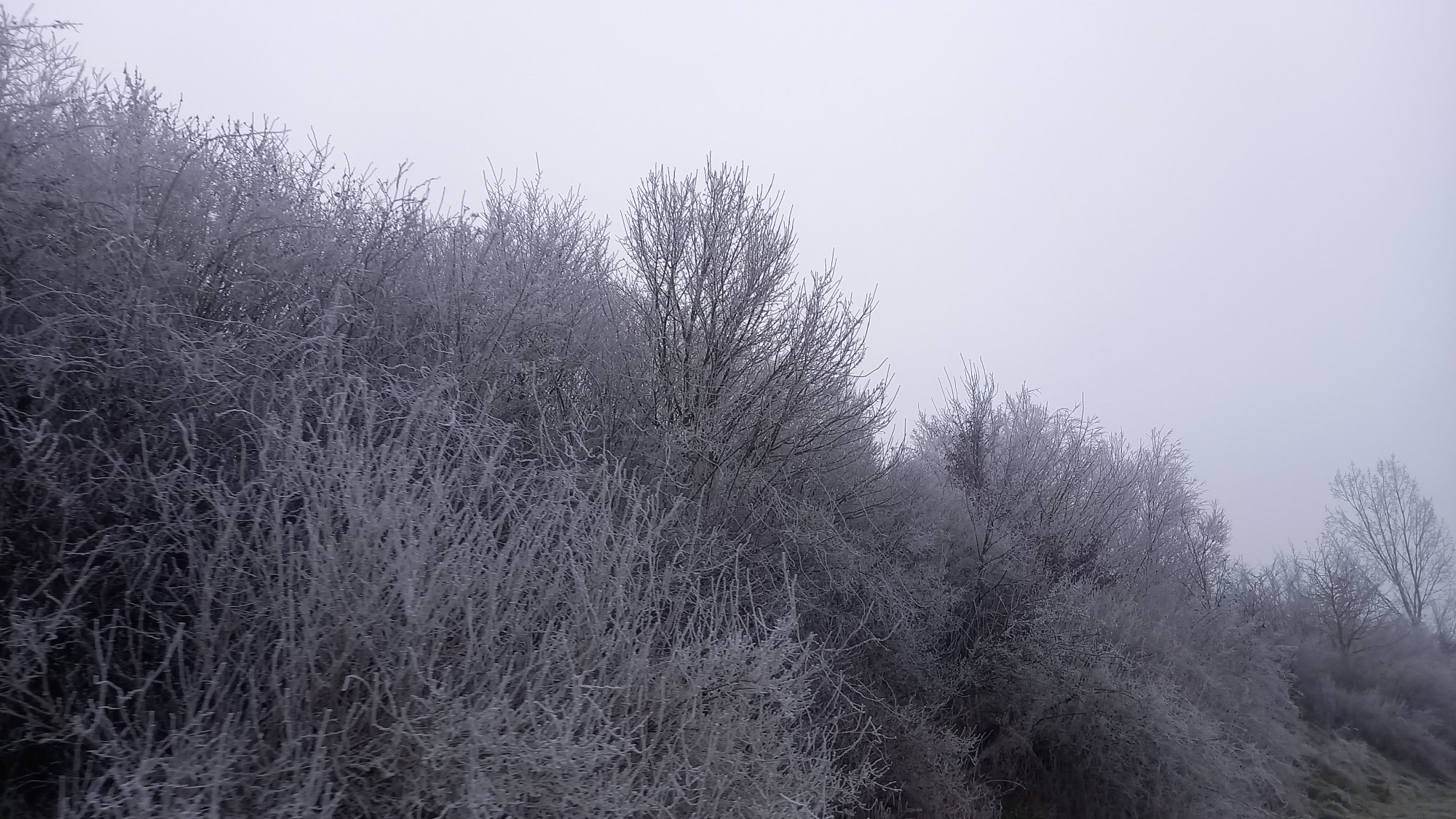 20241229_102706.jpg