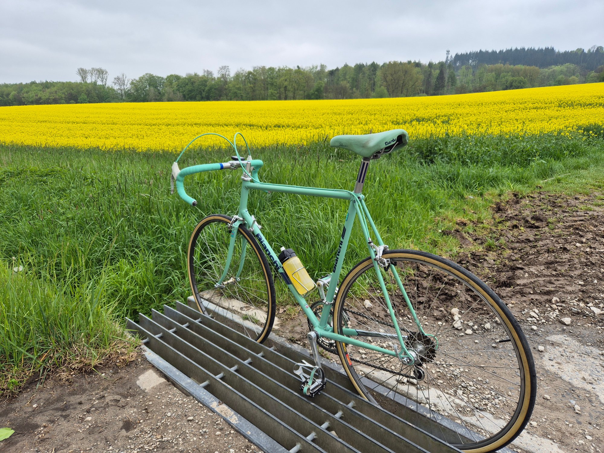 2025-04-25 15.19.37.jpg