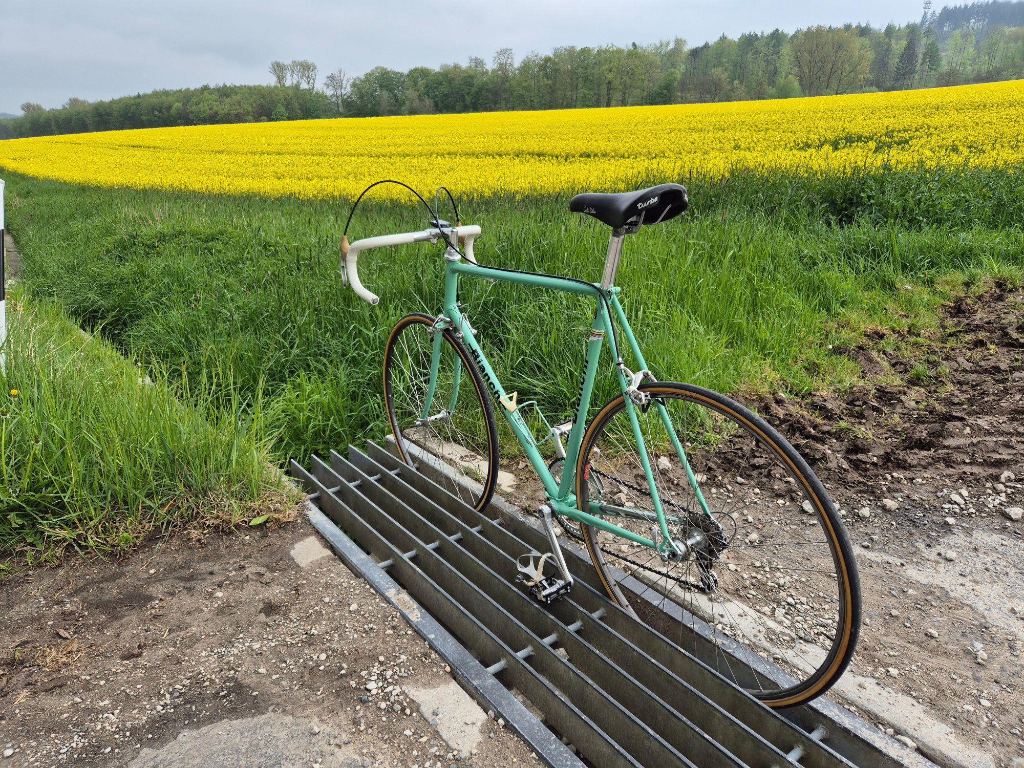 2025-04-25 16.34.58.jpg