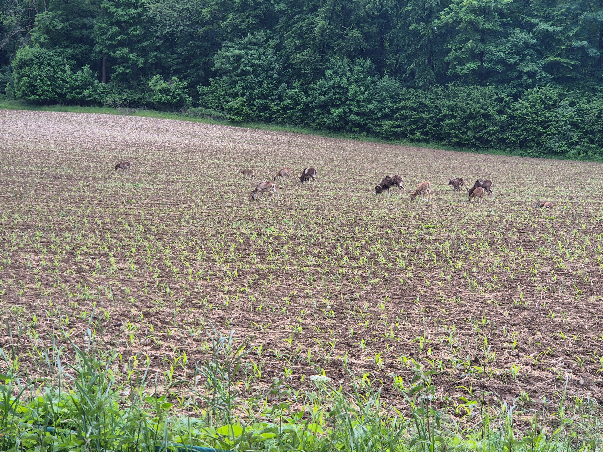 2025-05-26 14.50.39.jpg