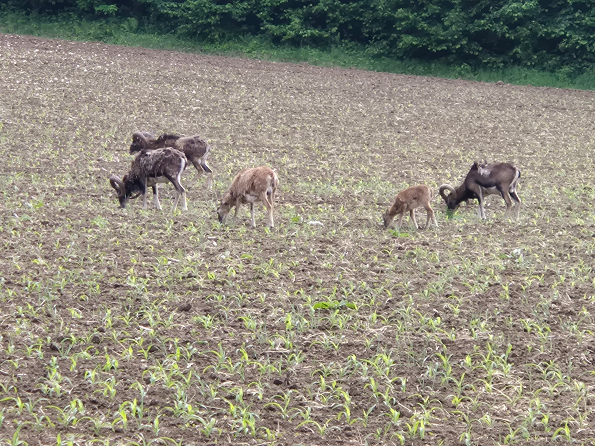 2025-05-26 14.50.43.jpg