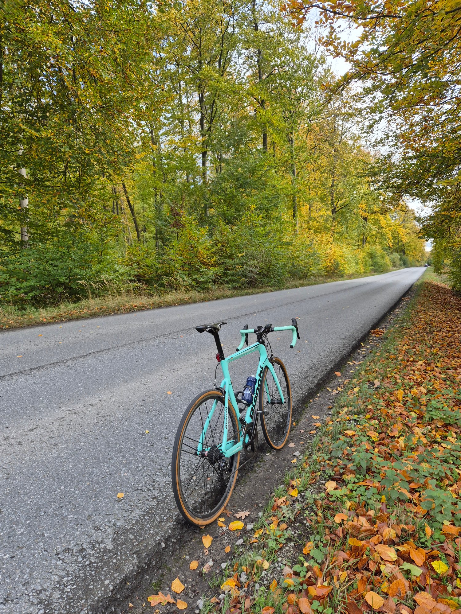 2025-10-24 14.15.23.jpg