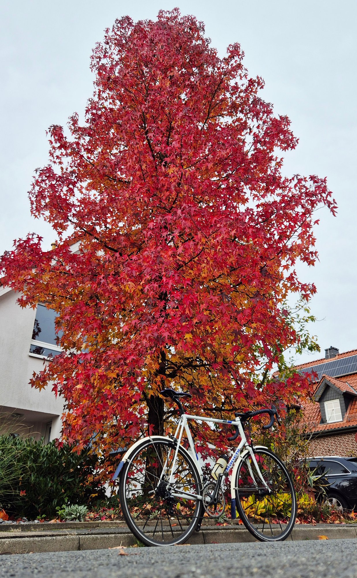 2025-10-29 15.10.29.jpg