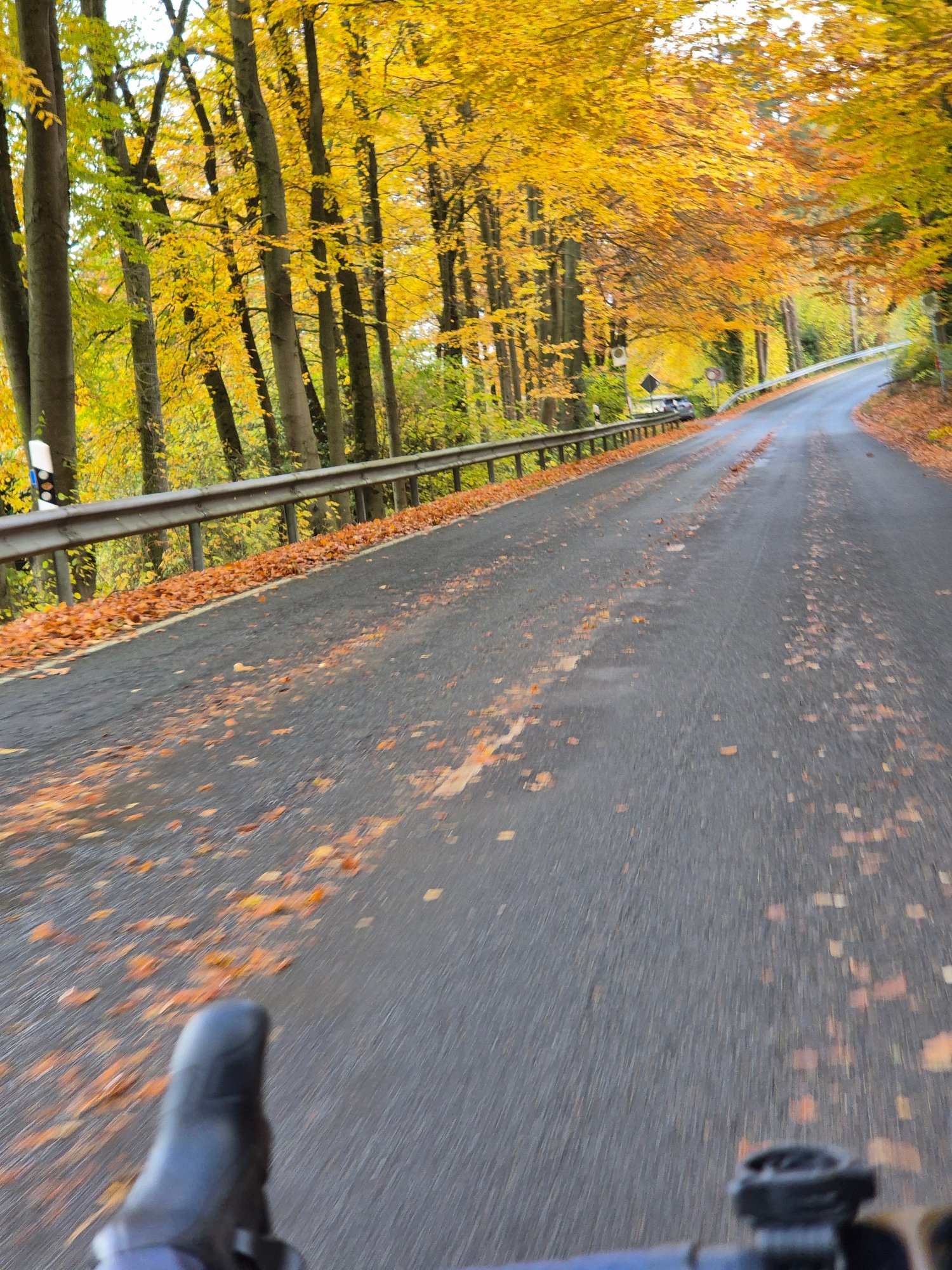 2025-11-02 13.27.12.jpg