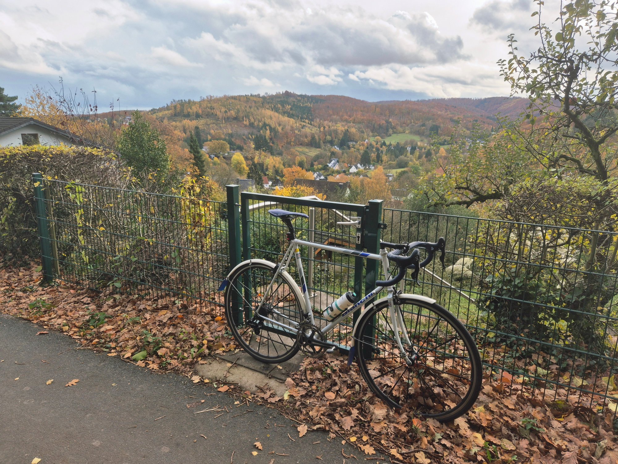 2025-11-02 13.50.10.jpg