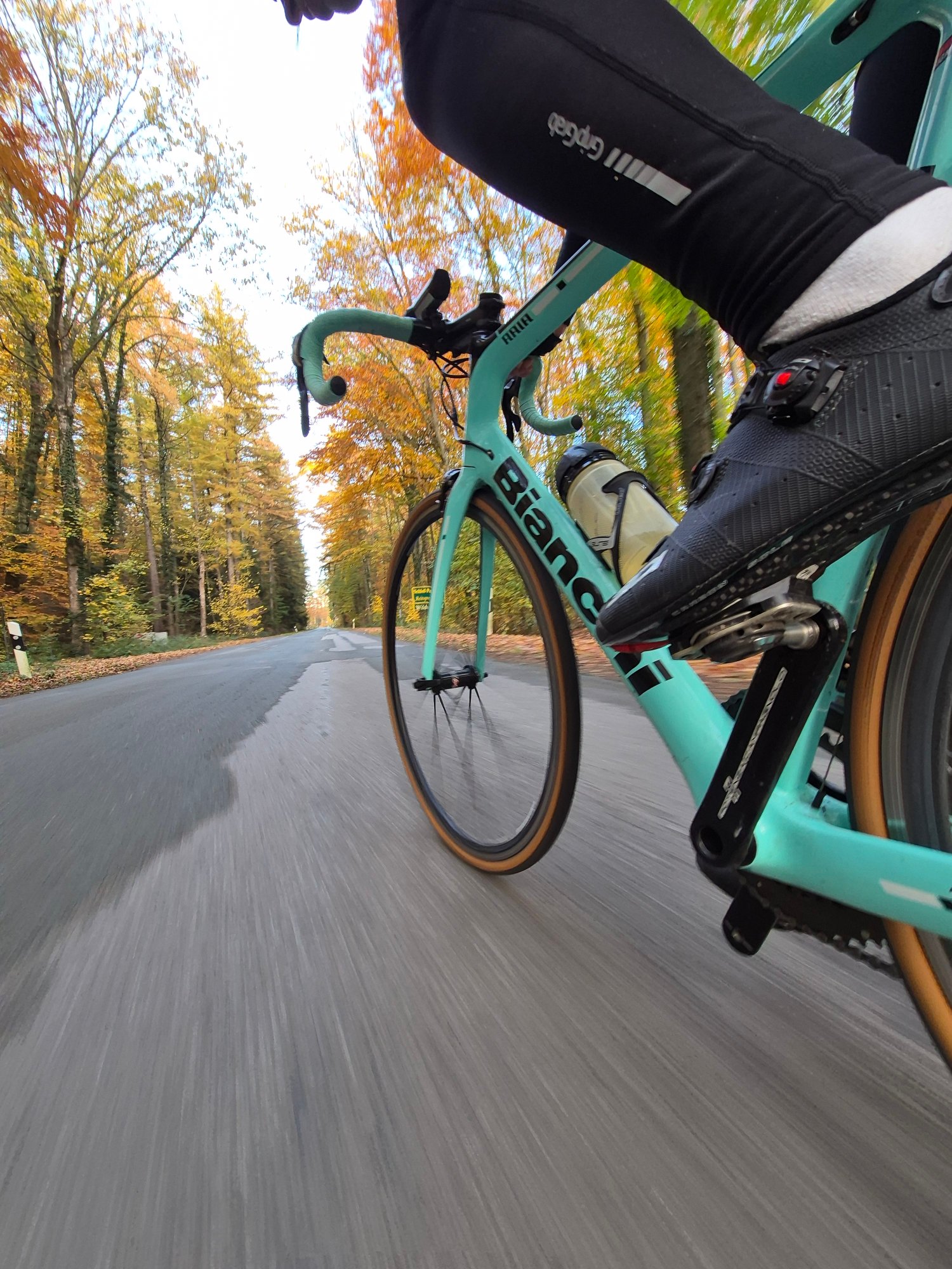 2025-11-06 16.01.56.jpg