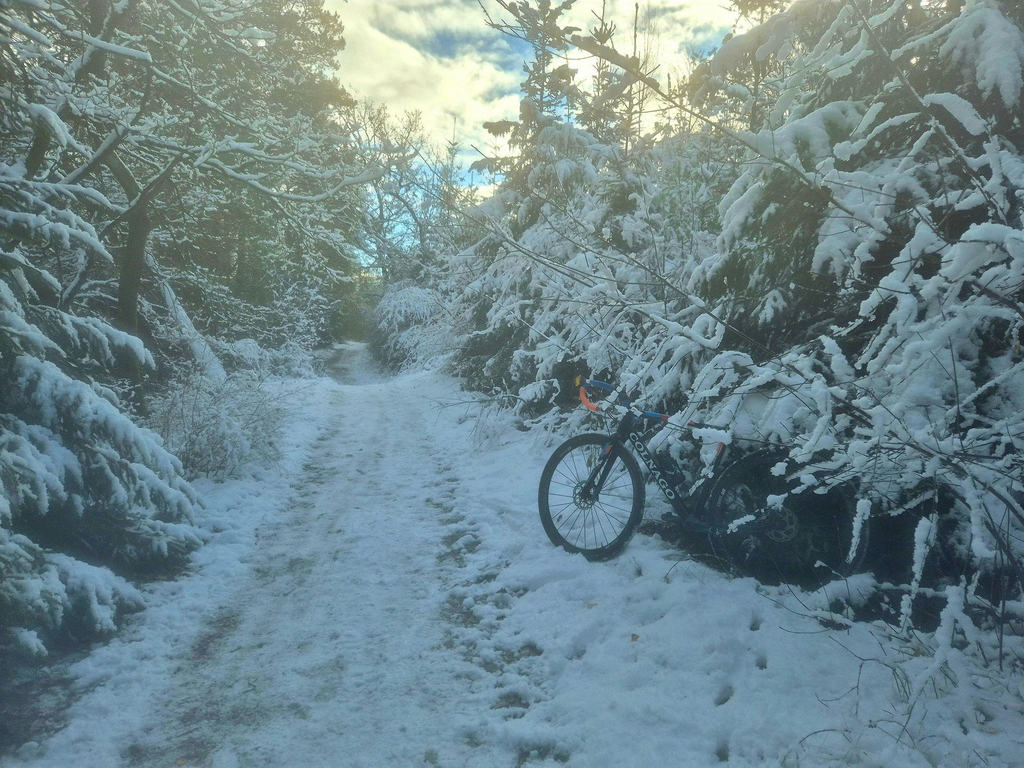 2025-11-22 11.57.14-1.jpg