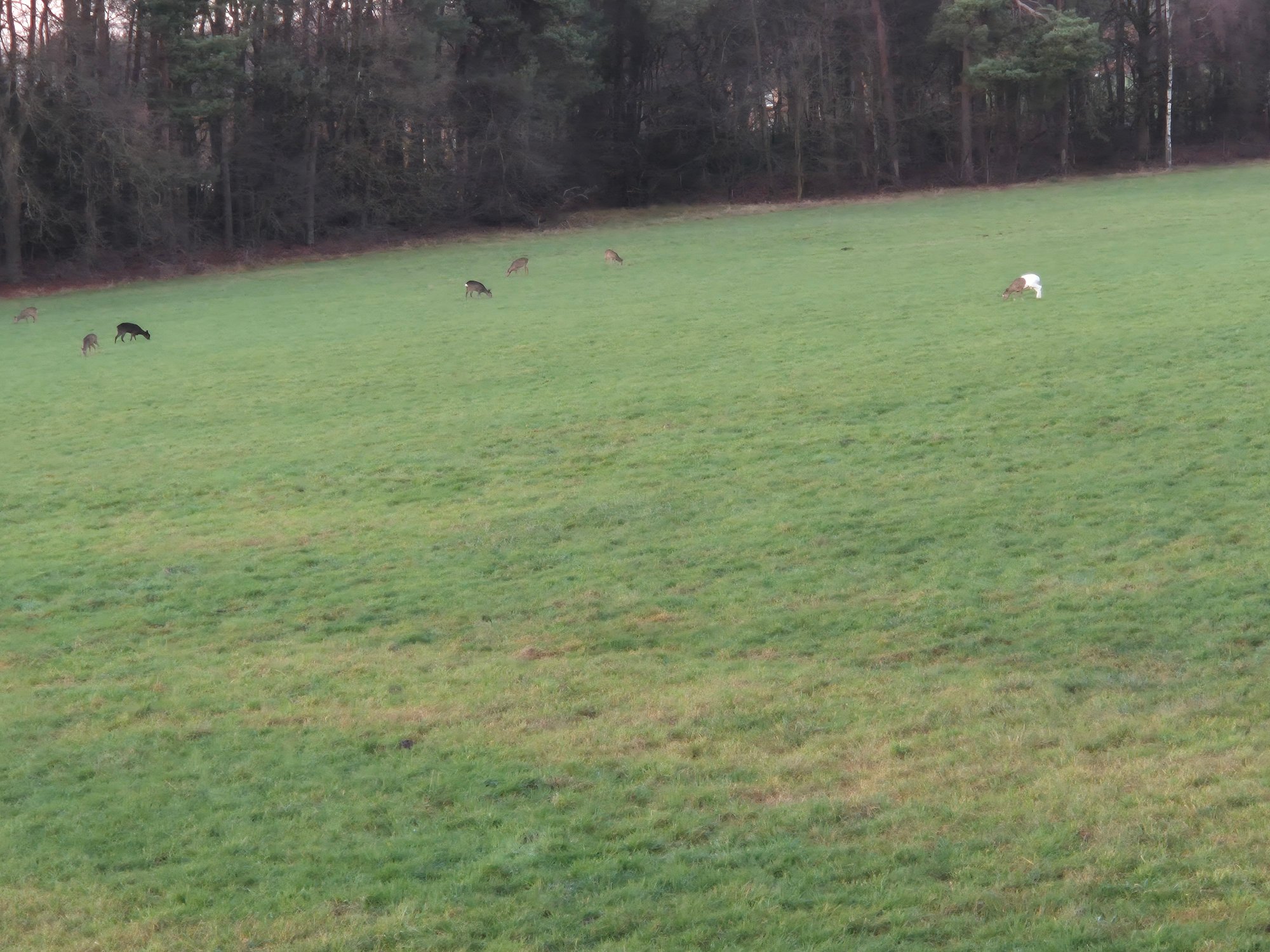 2025-12-11 16.11.04.jpg