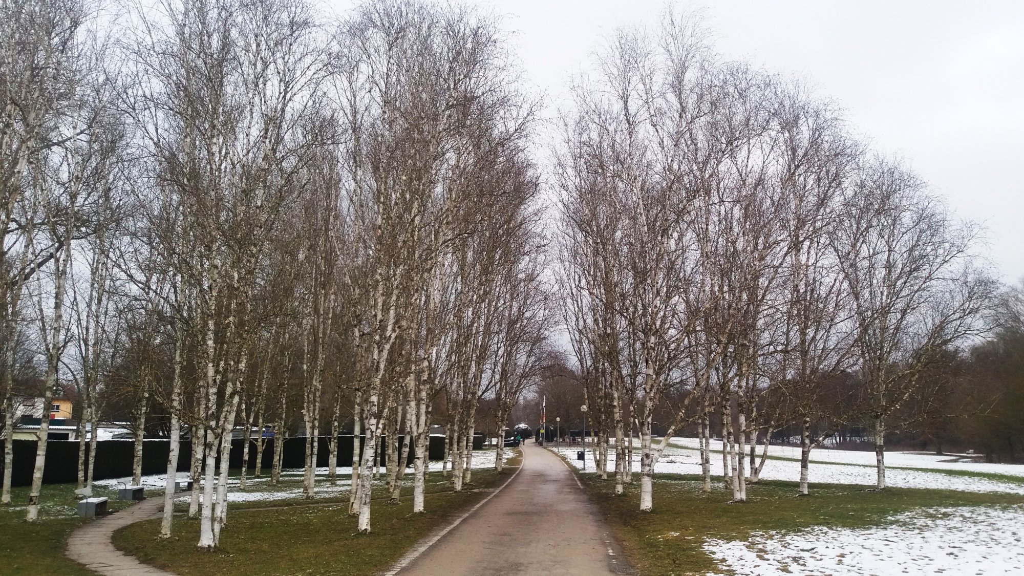 20250216_114756.jpg