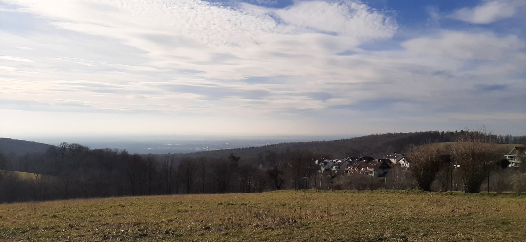 20250221_151019.jpg