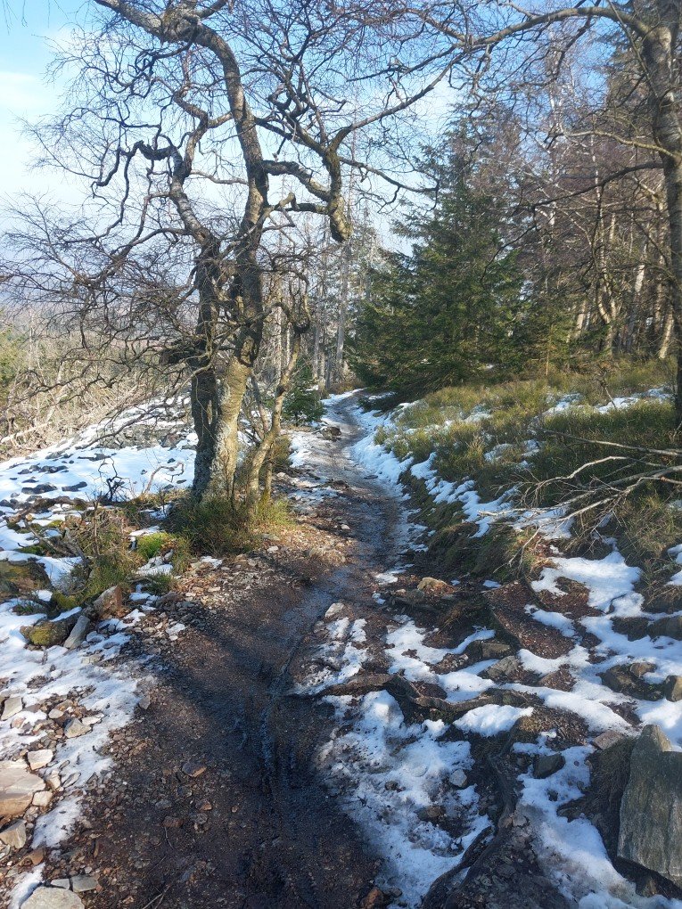 20250308_142000_copy_765x1020.jpg