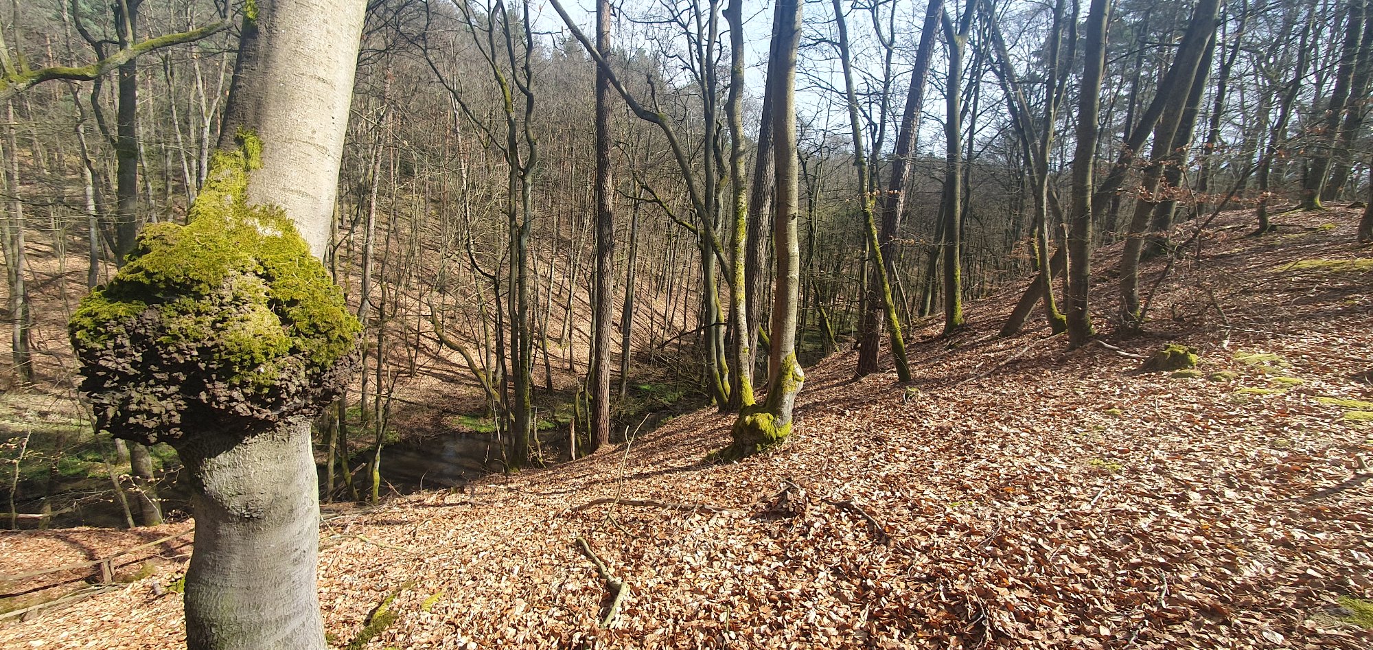 20250413_135815.jpg