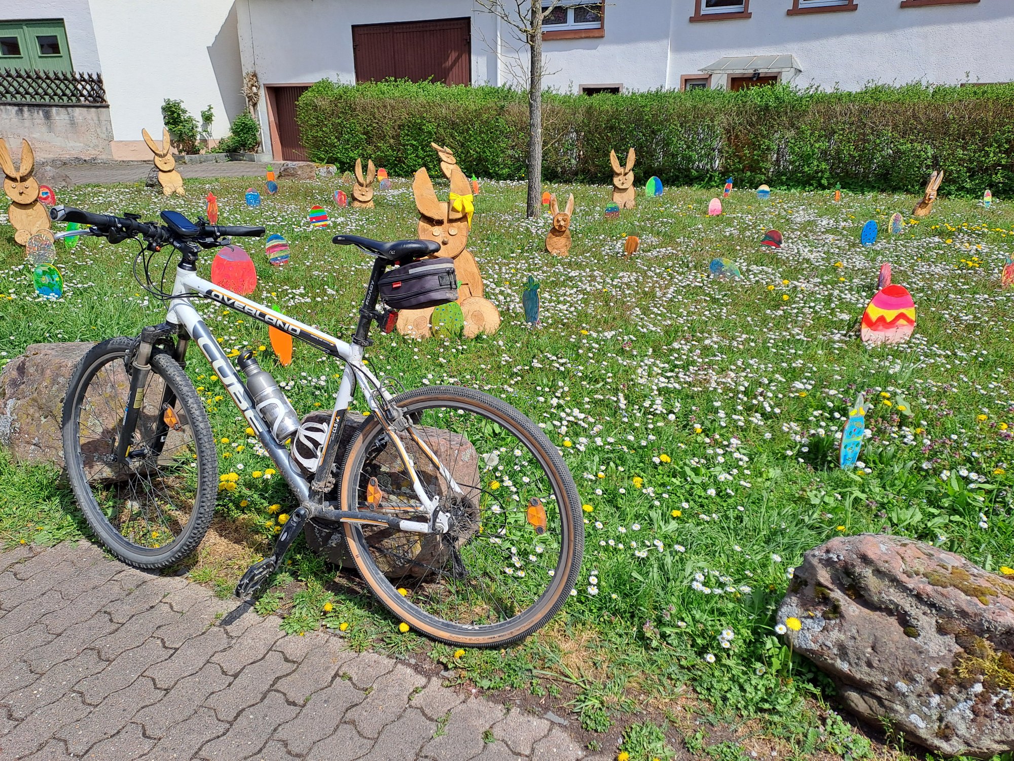 20250419_133321.jpg