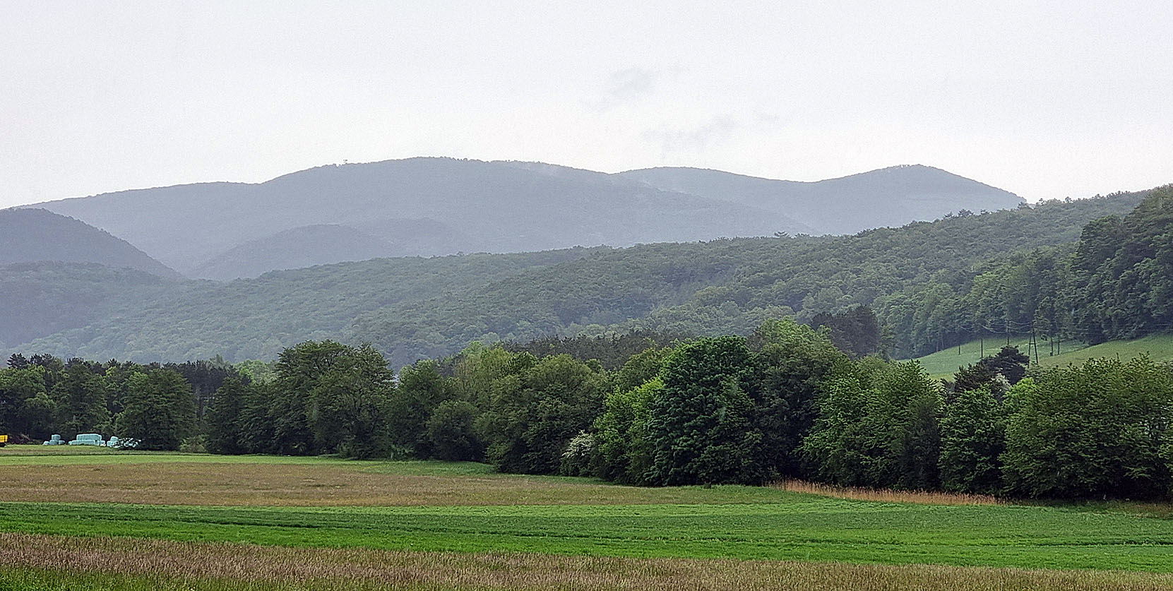 20250515_144752.jpg