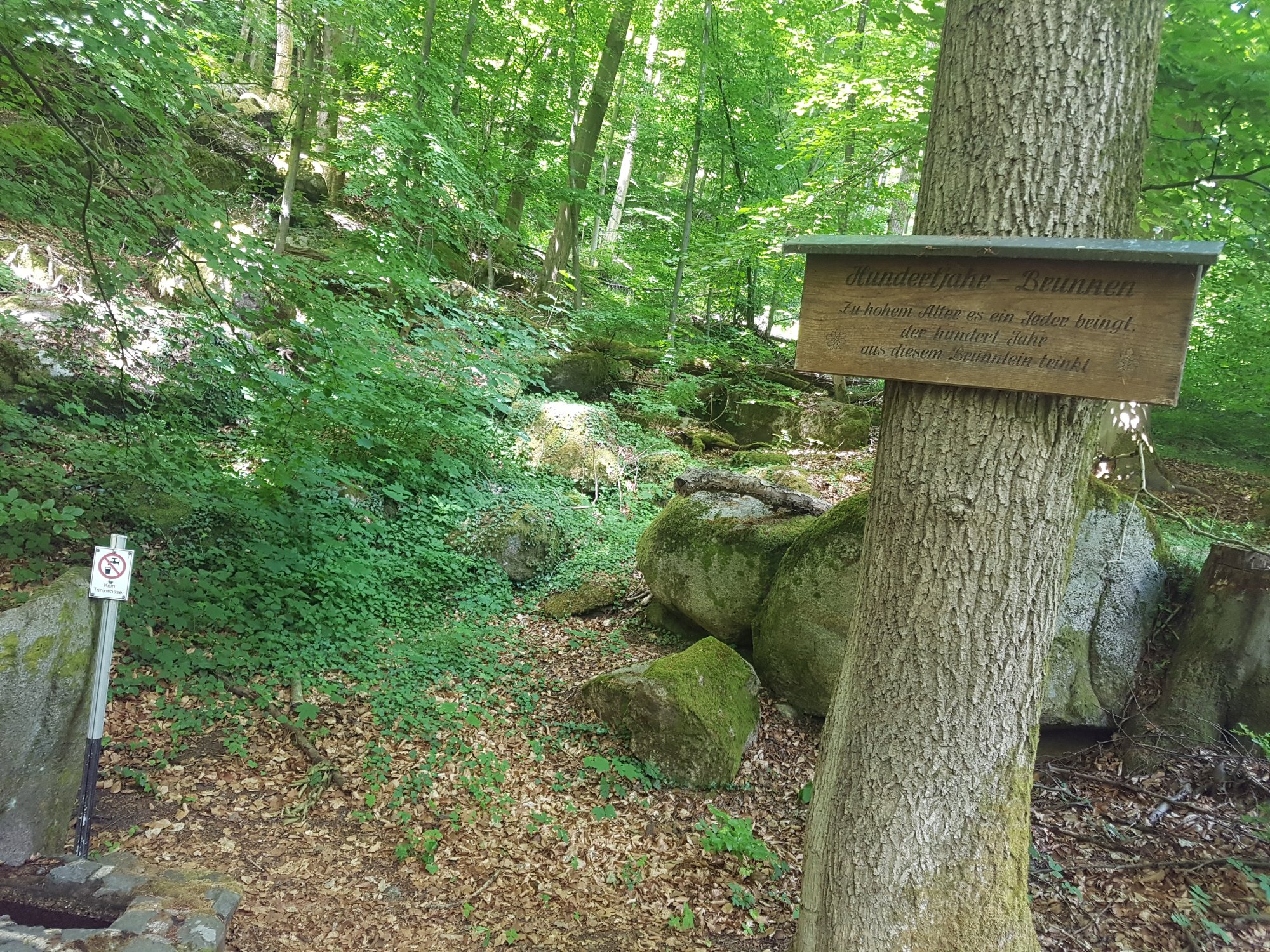 20250523_124826.jpg