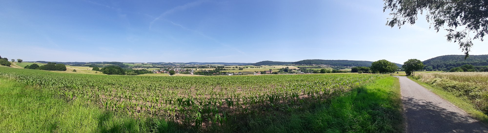 20250622_112046.jpg