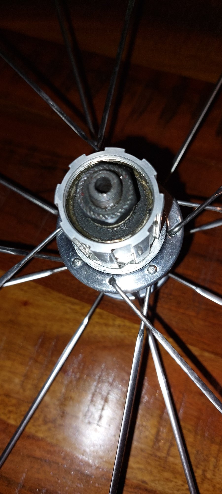 20250715_224830.jpg
