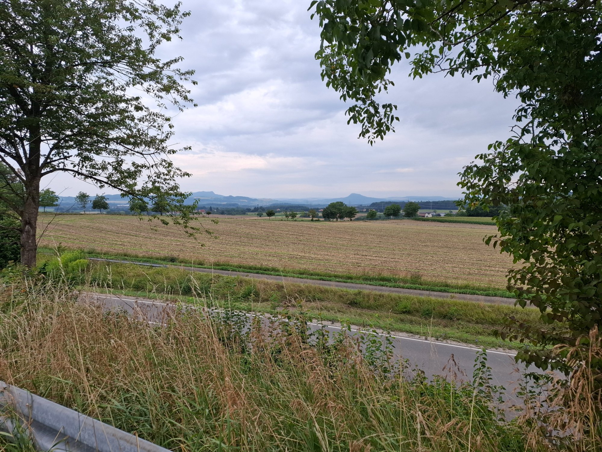 20250726_102705.jpg