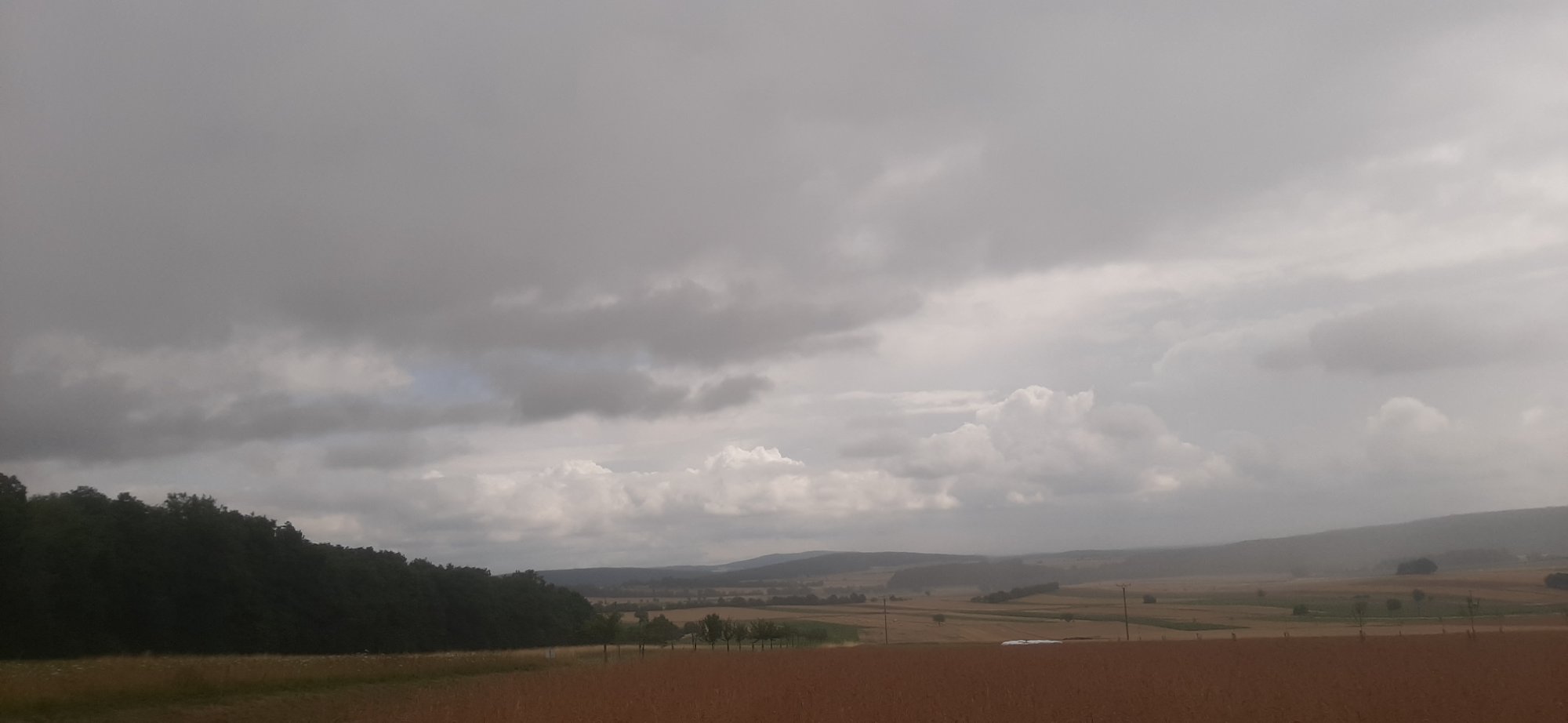 20250726_110720.jpg