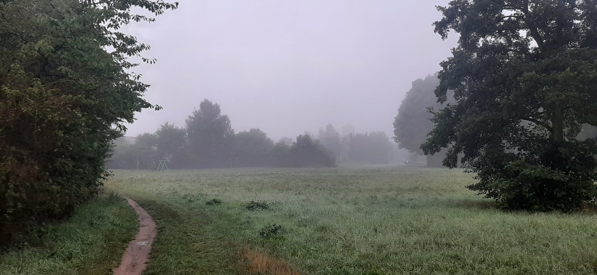 20250802_062433.jpg