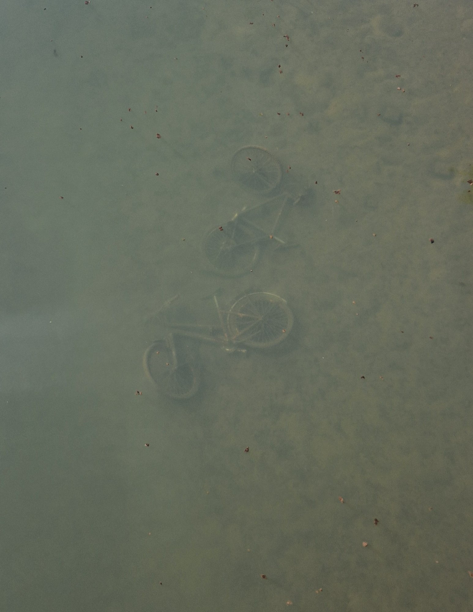 20250809_162215.jpg
