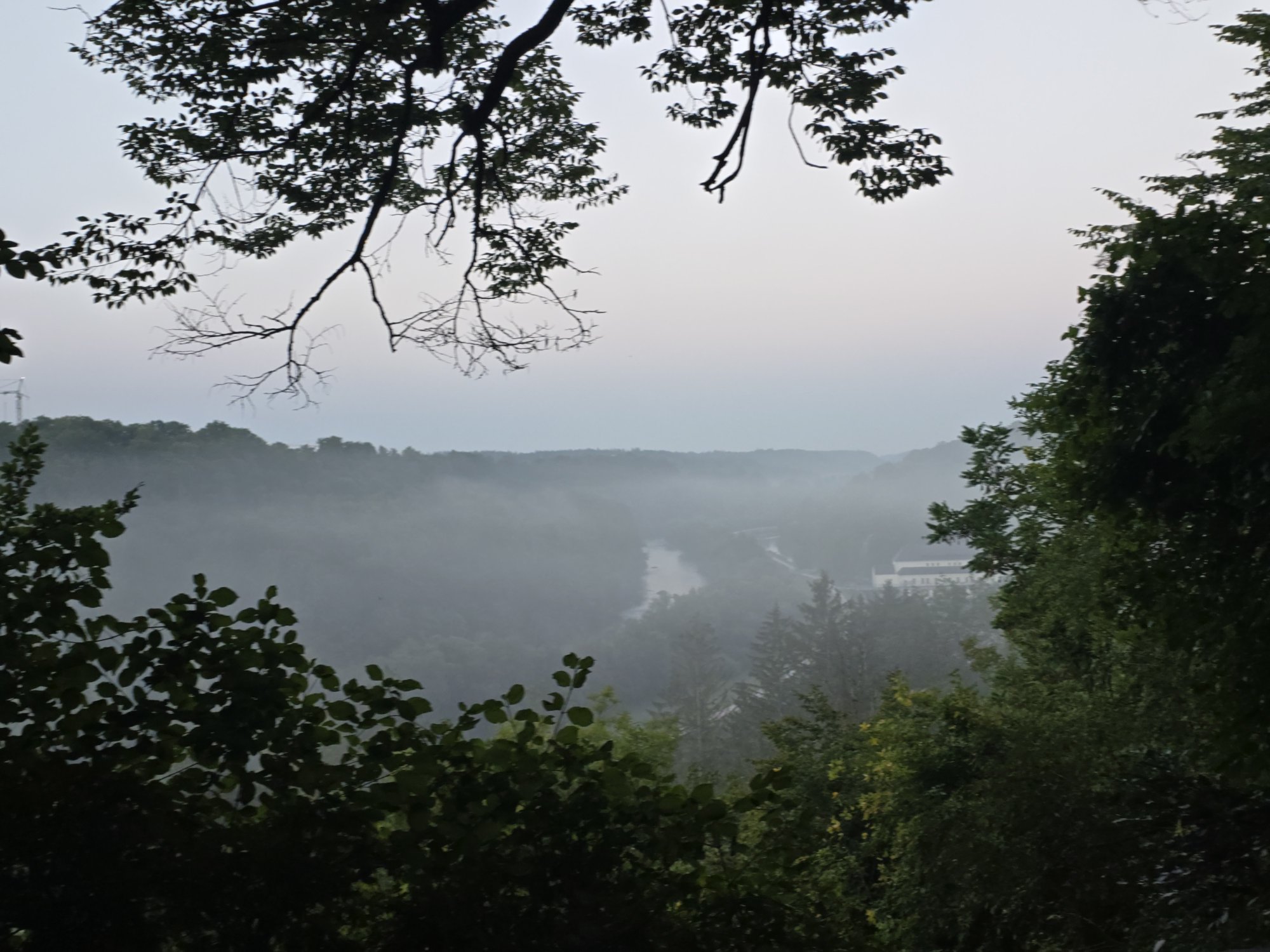 20250811_060259.jpg