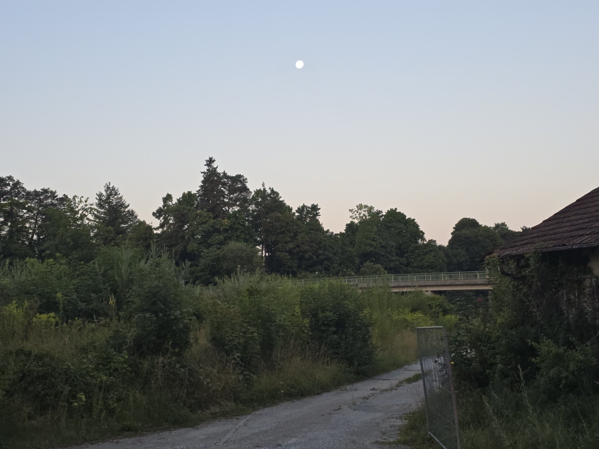 20250811_060941.jpg