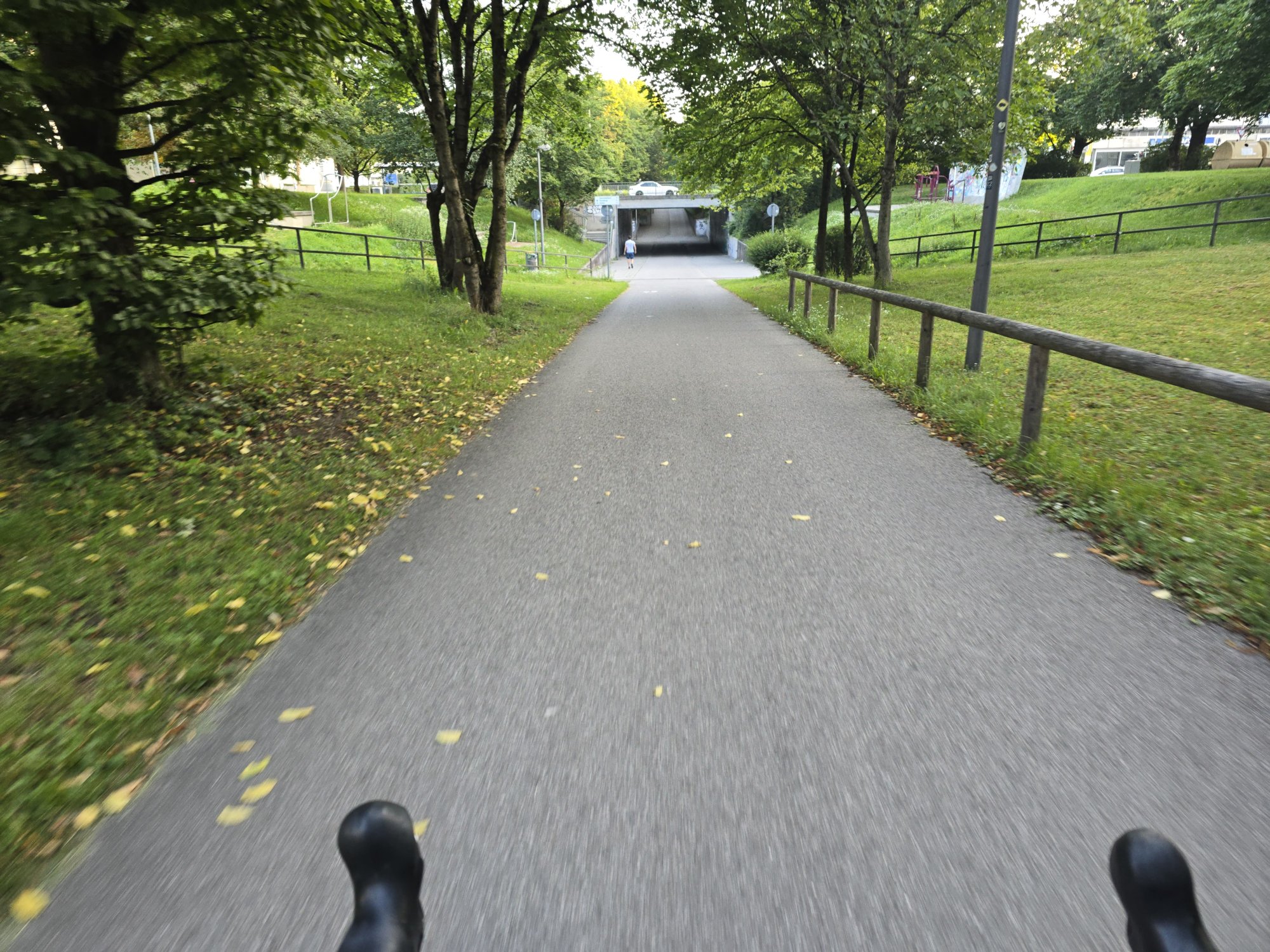 20250811_065235.jpg