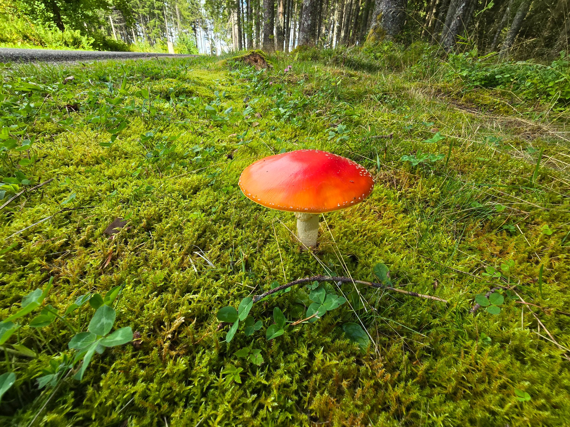 20250830_135255.jpg