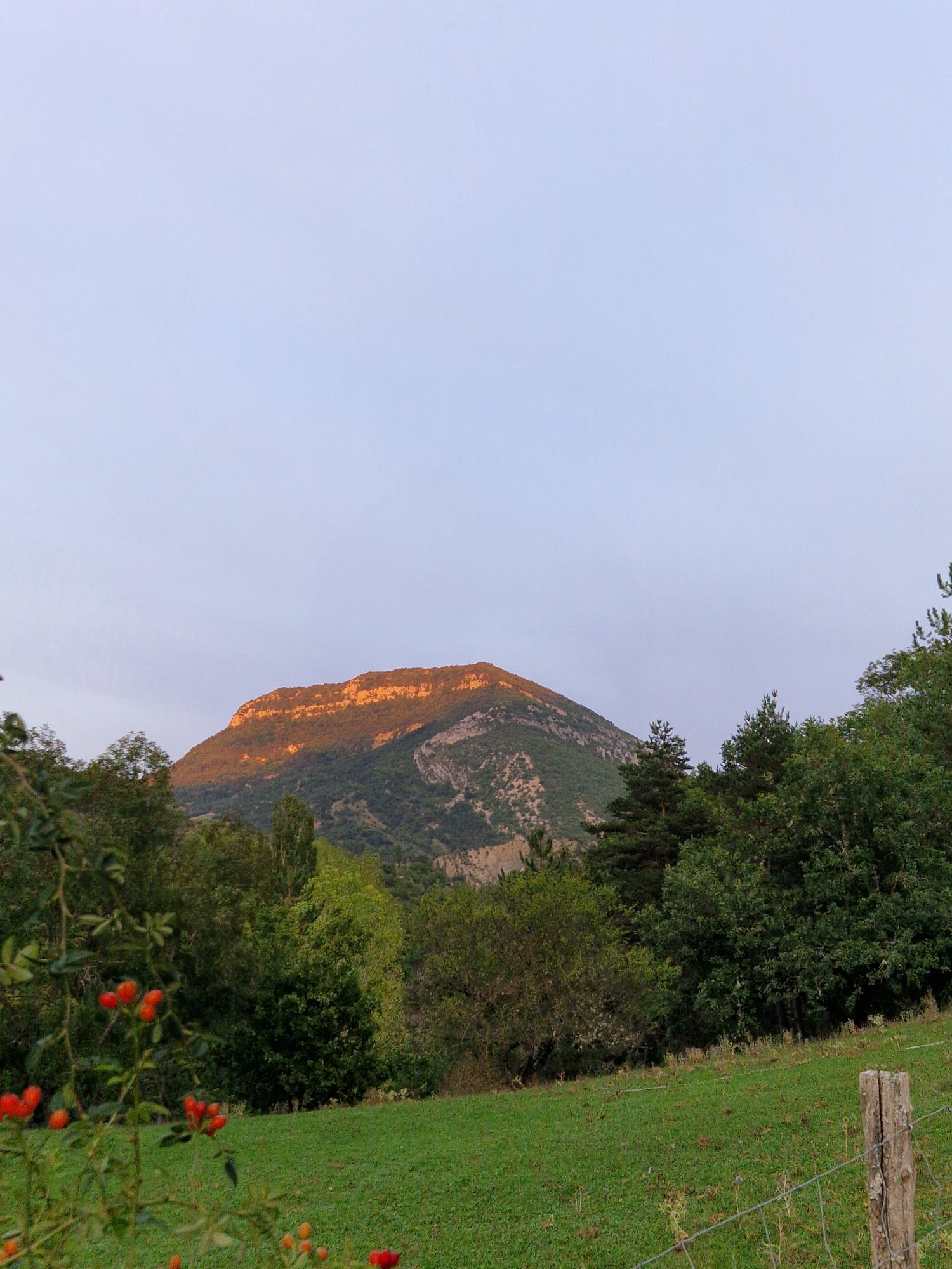 20250909_194907.jpg