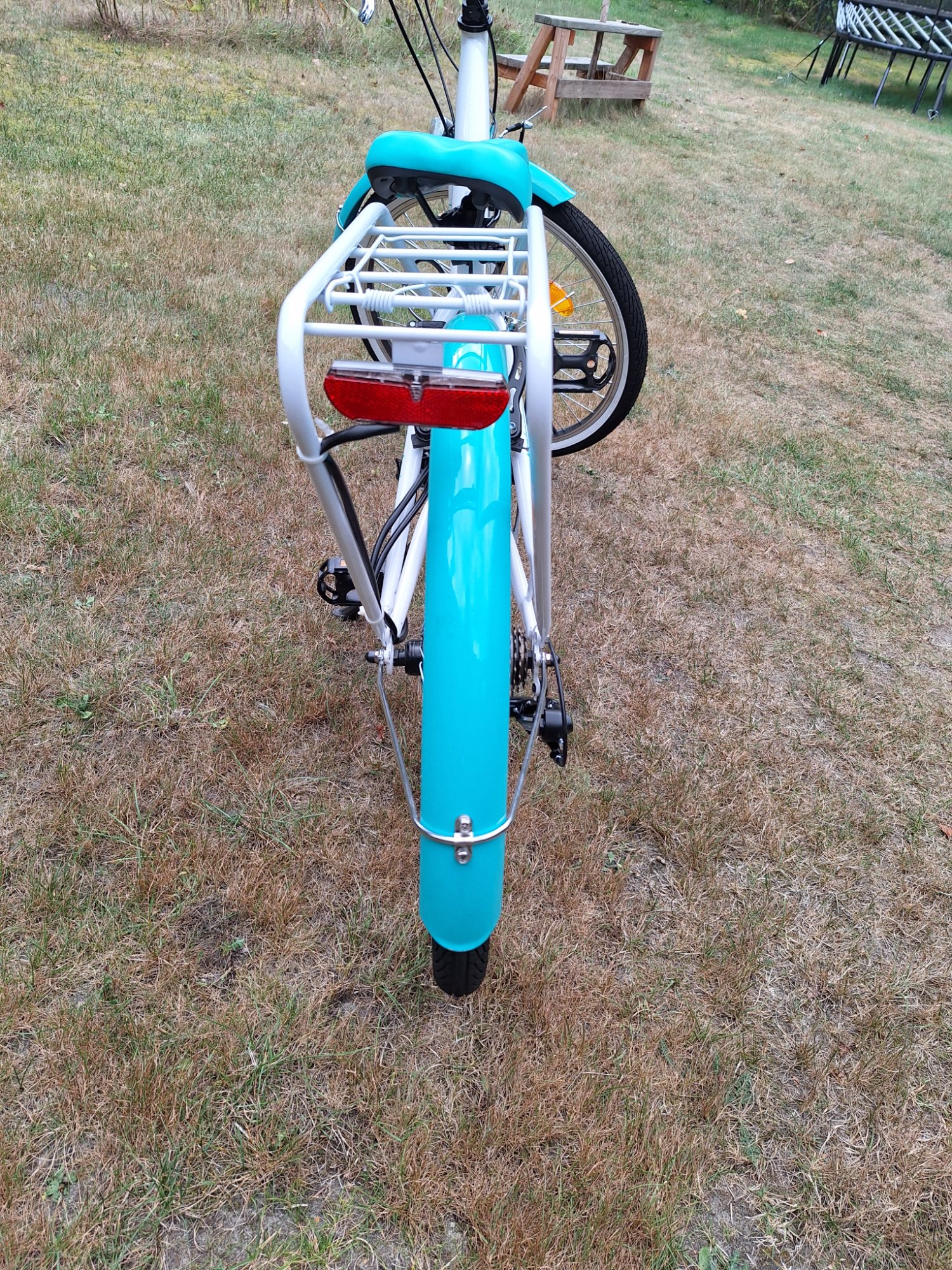 20250912_165646.jpg