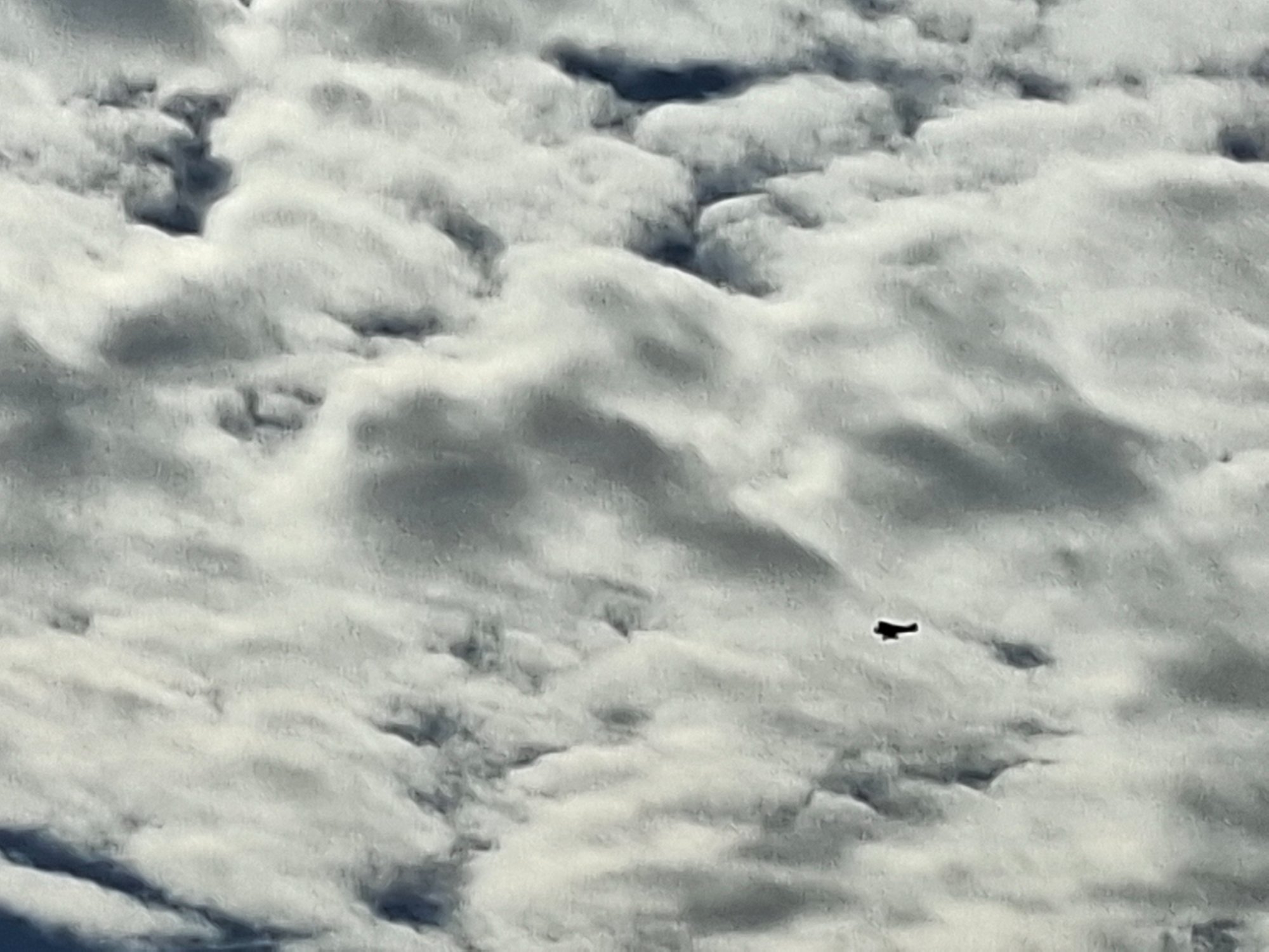 20250914_164014.jpg