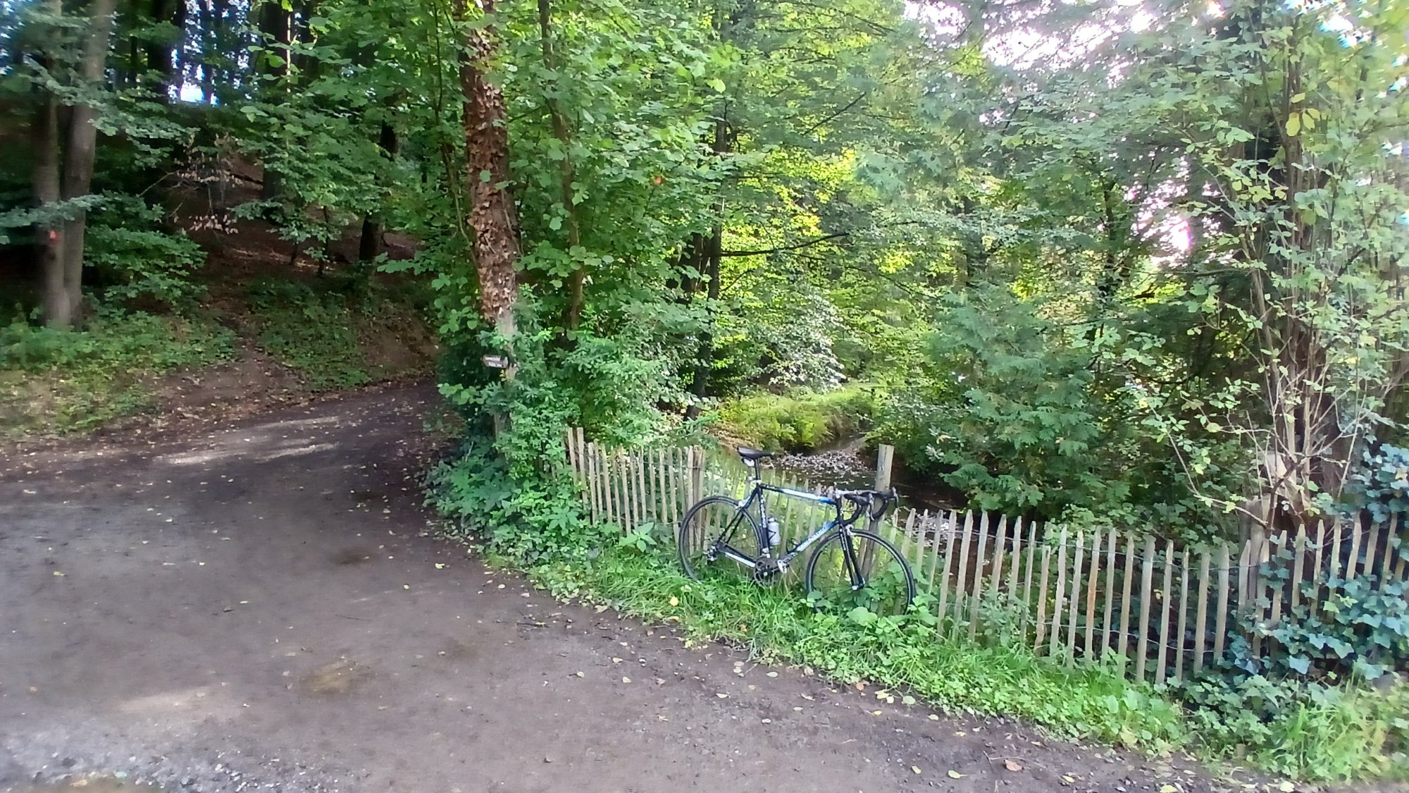 20250914_172943.jpg